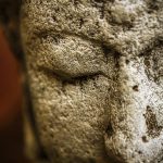 The Alchemy of Morning Dew on Sunlit Leaves