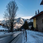 —Seasonal: Summer (thyme blooms)