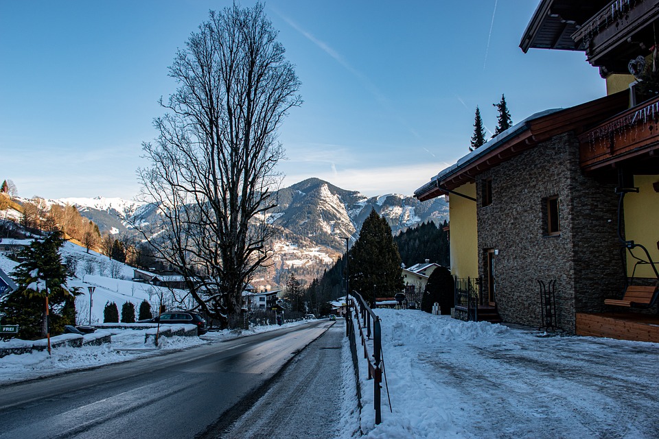 —Seasonal: Summer (thyme blooms)