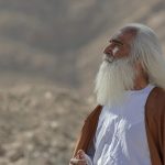 Gold Veins in the Autumn Stone