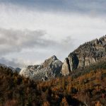 Rooted in Daylight: Crafting Living Spaces that Whisper to the Wild