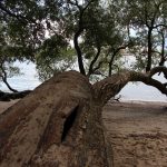 hearthstone thaw: cradling autumn’s last whisper in clay