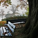 Autumn’s Embrace: Crafting Cozy Hues in Tranquil Thresholds