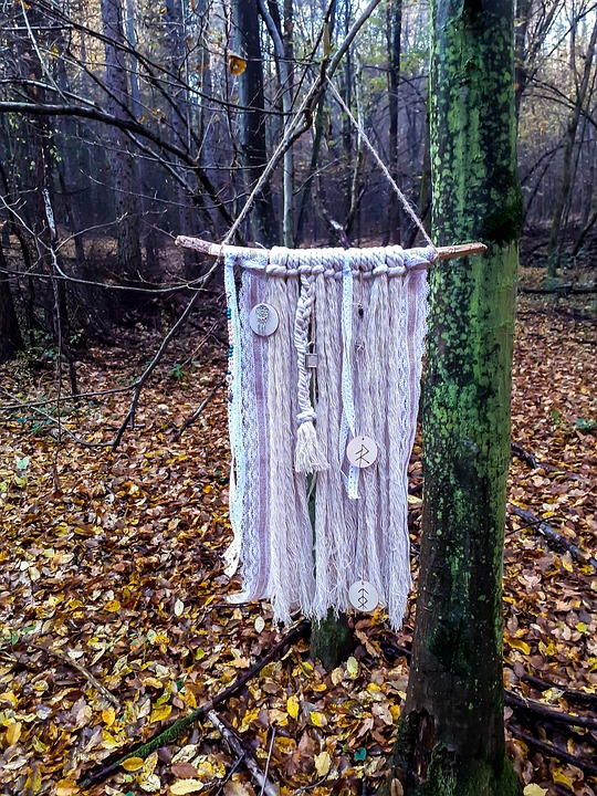 1. Poetic Guide: To Harvest Light from Whispering Canopies