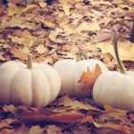 —Stone-Jars Carved from Ice, Holding Hearth-Fire Memories