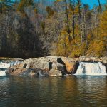 2. Symbolic Essay: Hollowed Pines and Heart-Stitched Snow