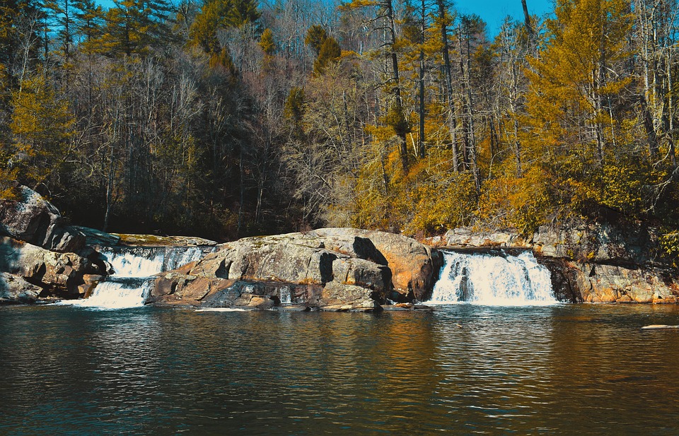 2. Symbolic Essay: Hollowed Pines and Heart-Stitched Snow