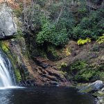 A tactile rite to stir gratitude amid thawing unpredictability, using nature’s raw textures to forge clarity.