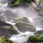 A meditation on terracotta vessels nurturing life, blending patience and growth.