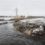 Mossed Benches Willow Drams The Alchemy of Falling Light
