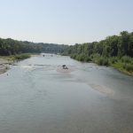 Whispering Tides of Time