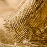 Twilight Candles & Moss-Woven Cradles: A Lullaby for Bare Earth