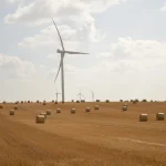 Dawn’s Turtle: Cultivating Soil & Stone