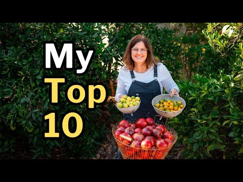 10 best fruit trees for low desert arizona: plus 3 to skip 1 youtube video