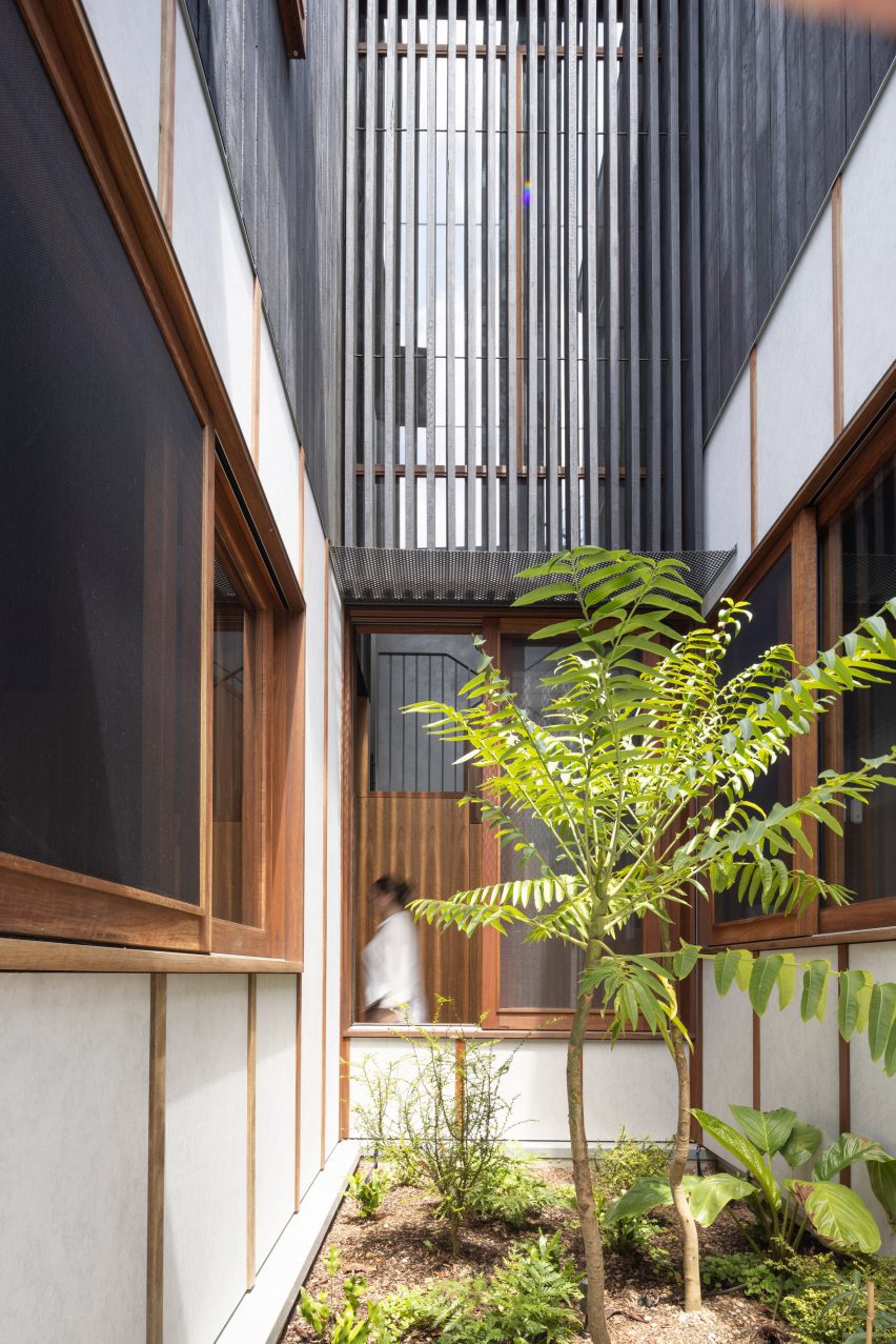 internal courtyard with planting