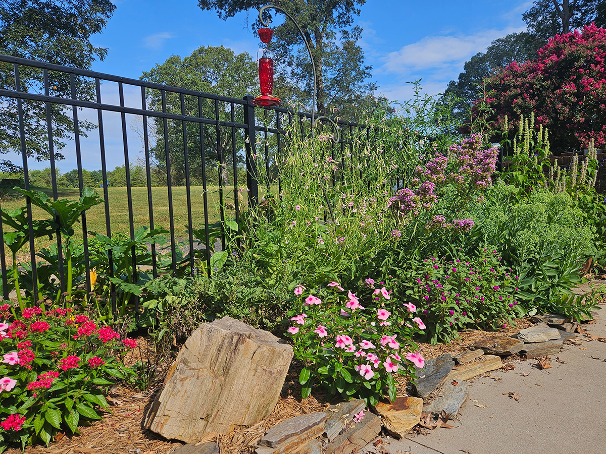 flower garden in front of fence