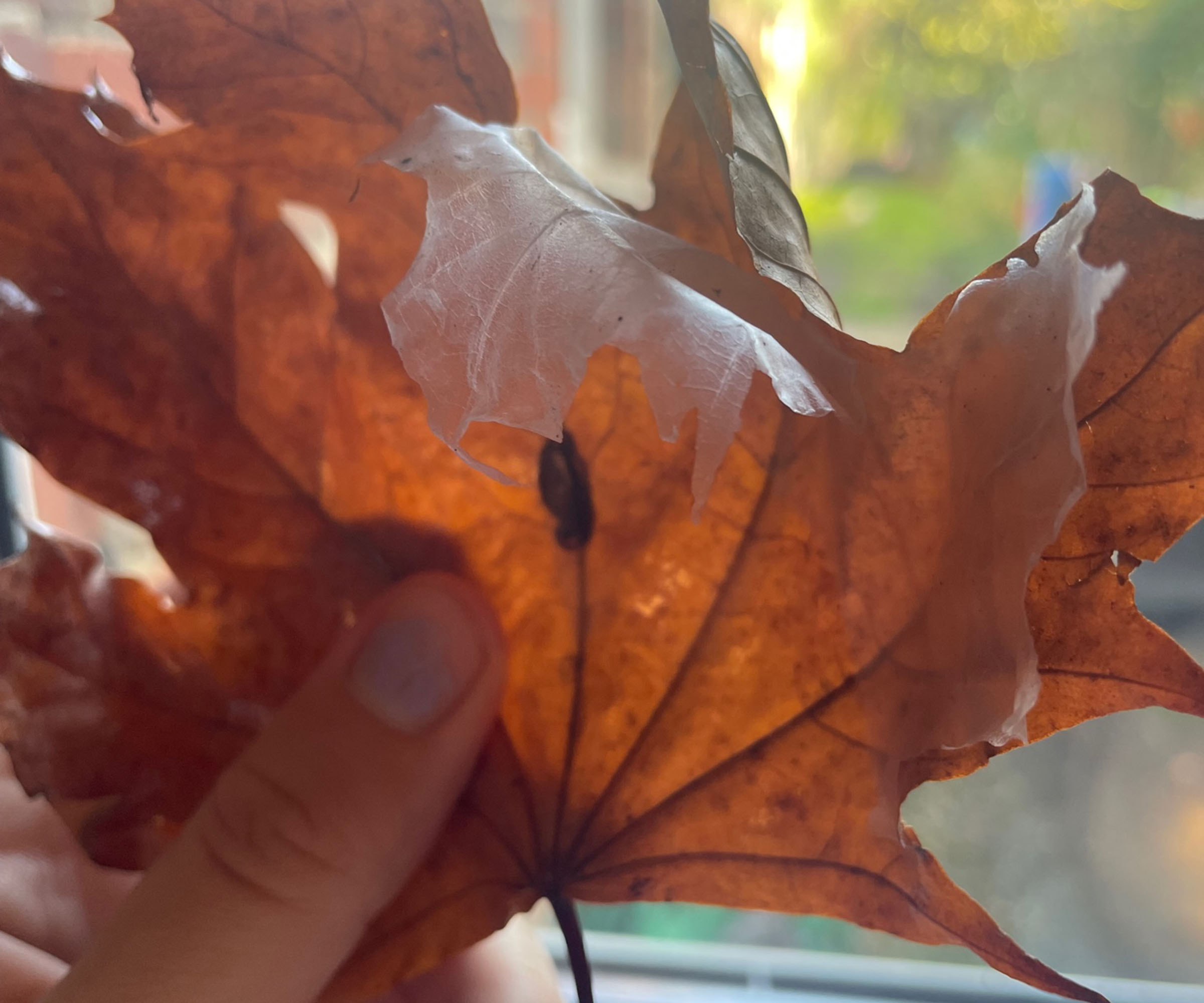 this viral hack turns fallen leaves into halloween ghosts 2 viral leaf ghost hack - how i used pva glue and fallen leaves to make spooky halloween decor