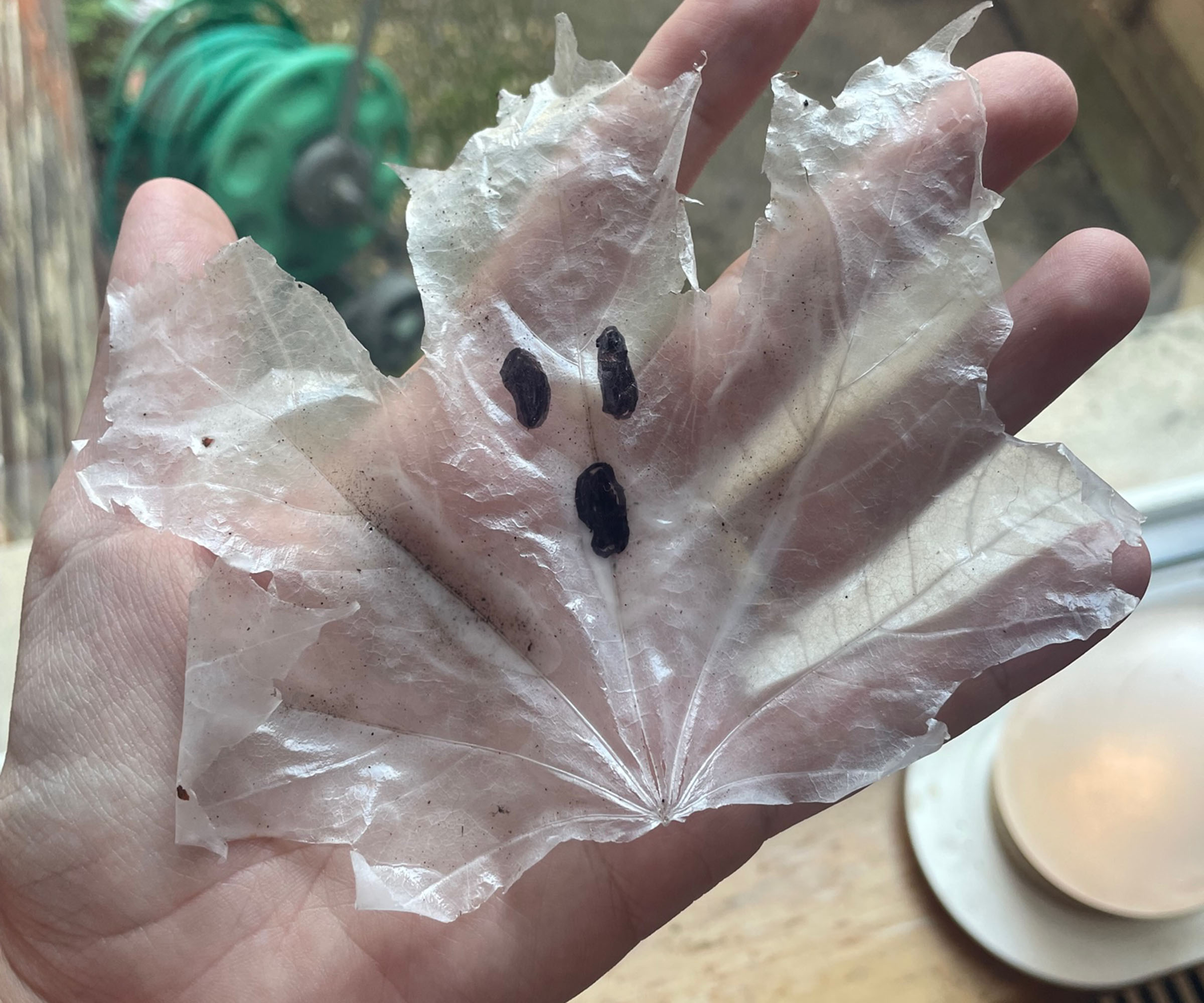 this viral hack turns fallen leaves into halloween ghosts 3 viral leaf ghost hack - how i used pva glue and fallen leaves to make spooky halloween decor