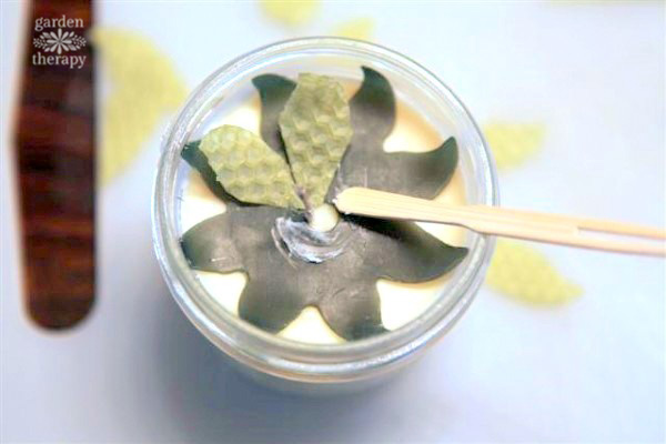 succulent candles are easy to make