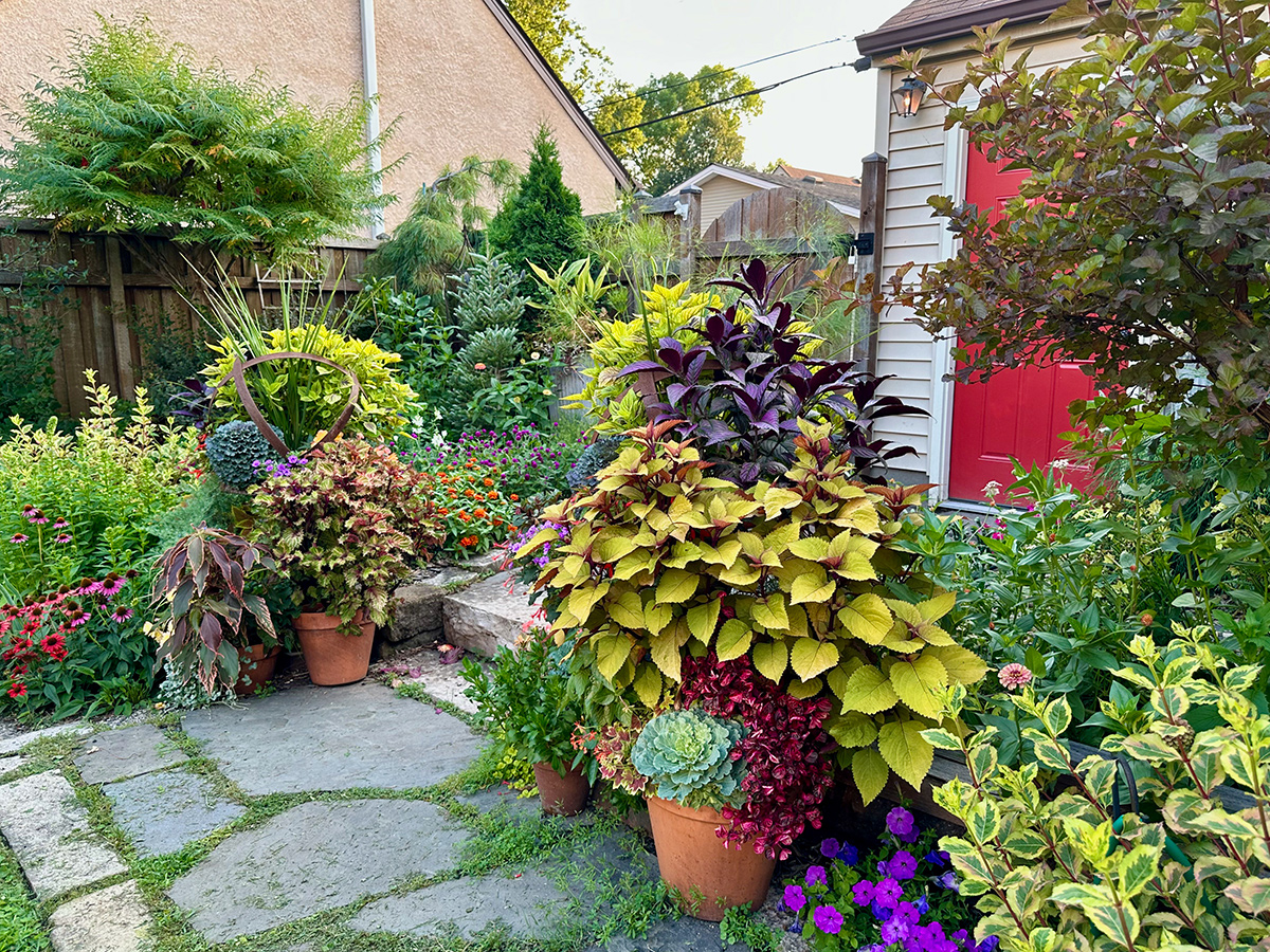 patio garden with large container plantings