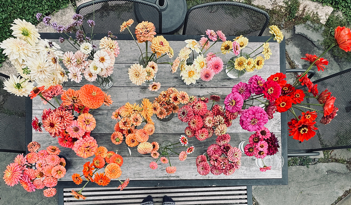 table covered in cut flower vases