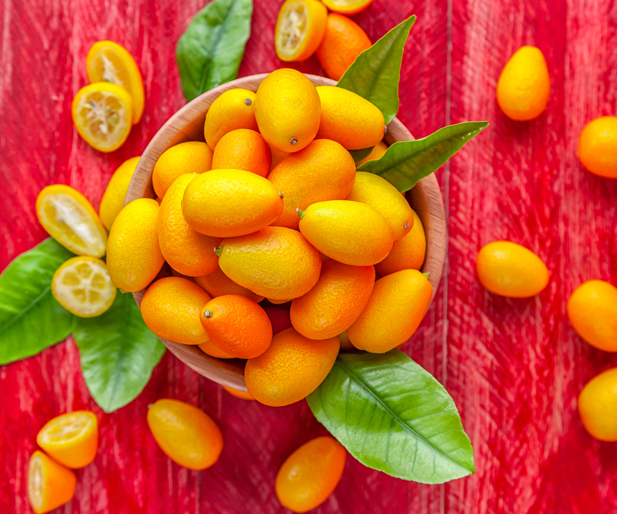 freshly harvested kumquat fruits