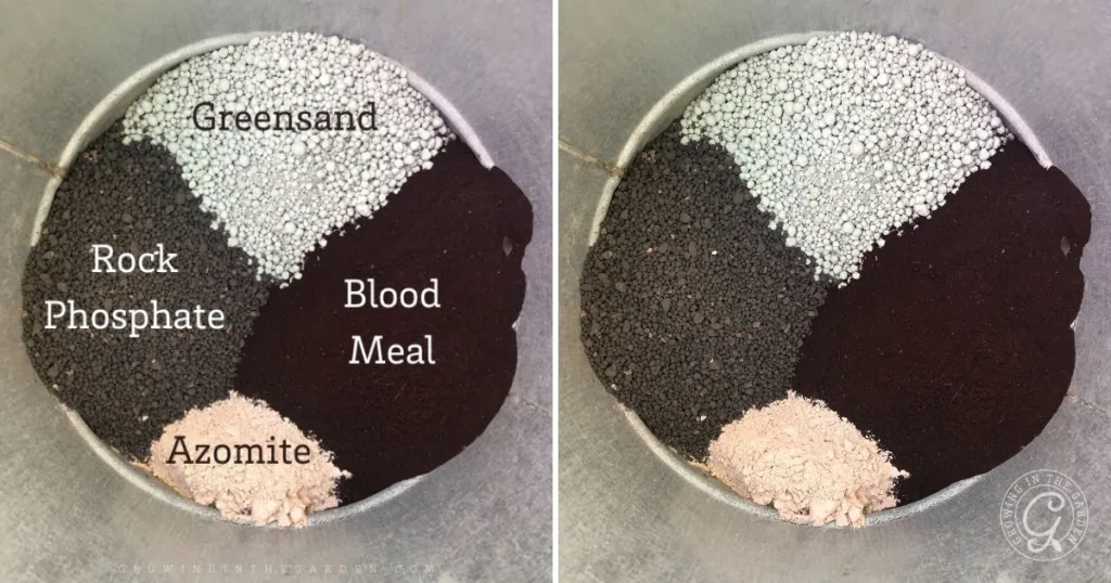 the best organic garden fertilizer for healthy soil 5 a bucket showcases piles of greensand, rock phosphate, azomite, and blood meal—each labeled as the best organic garden fertilizer for enriching your soil naturally.