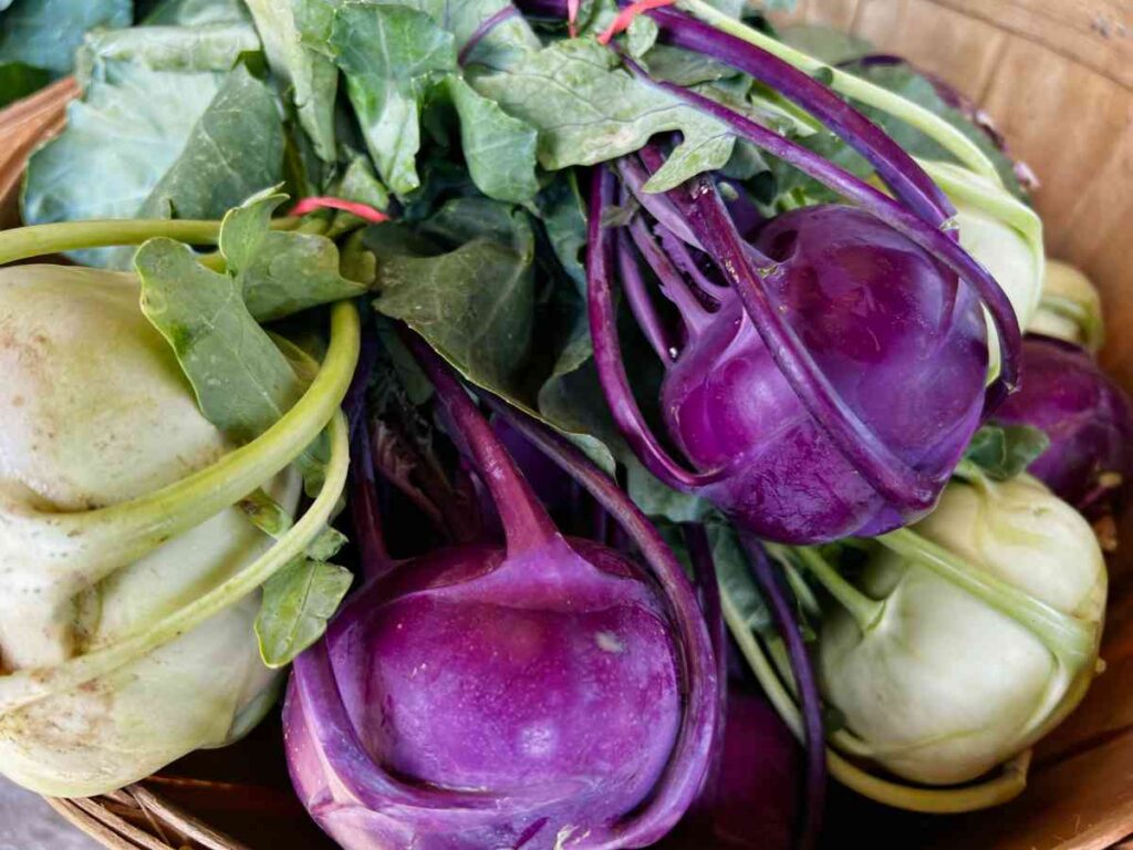 36 vegetables you can plant in january for spring harvest 76 36 vegetables you can plant in january for spring harvest