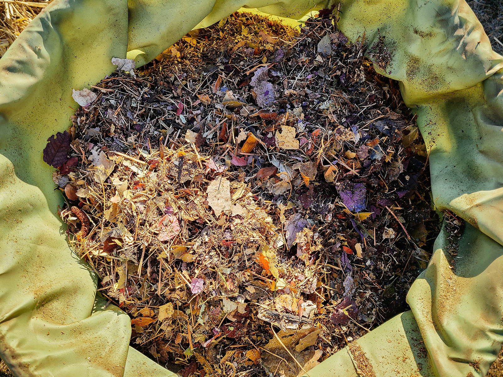 6 clever ways to repurpose yard trimmings for a zero waste garden garden betty 18 shredded leaves piled into a green canvas leaf bin