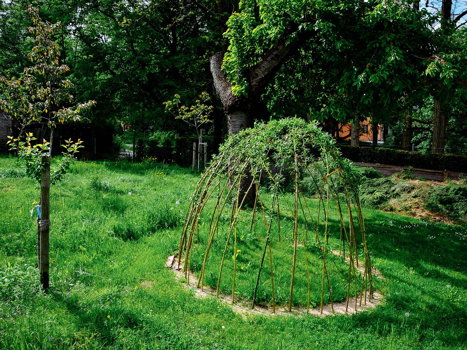 6 clever ways to repurpose yard trimmings for a zero waste garden garden betty 21 a dome-shaped trellis or play structure made from willow branches with small vines climbing up