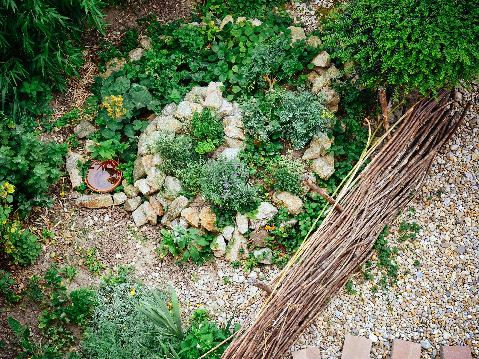 6 clever ways to repurpose yard trimmings for a zero waste garden garden betty 22 woven willow branch border next to a spiral herb garden