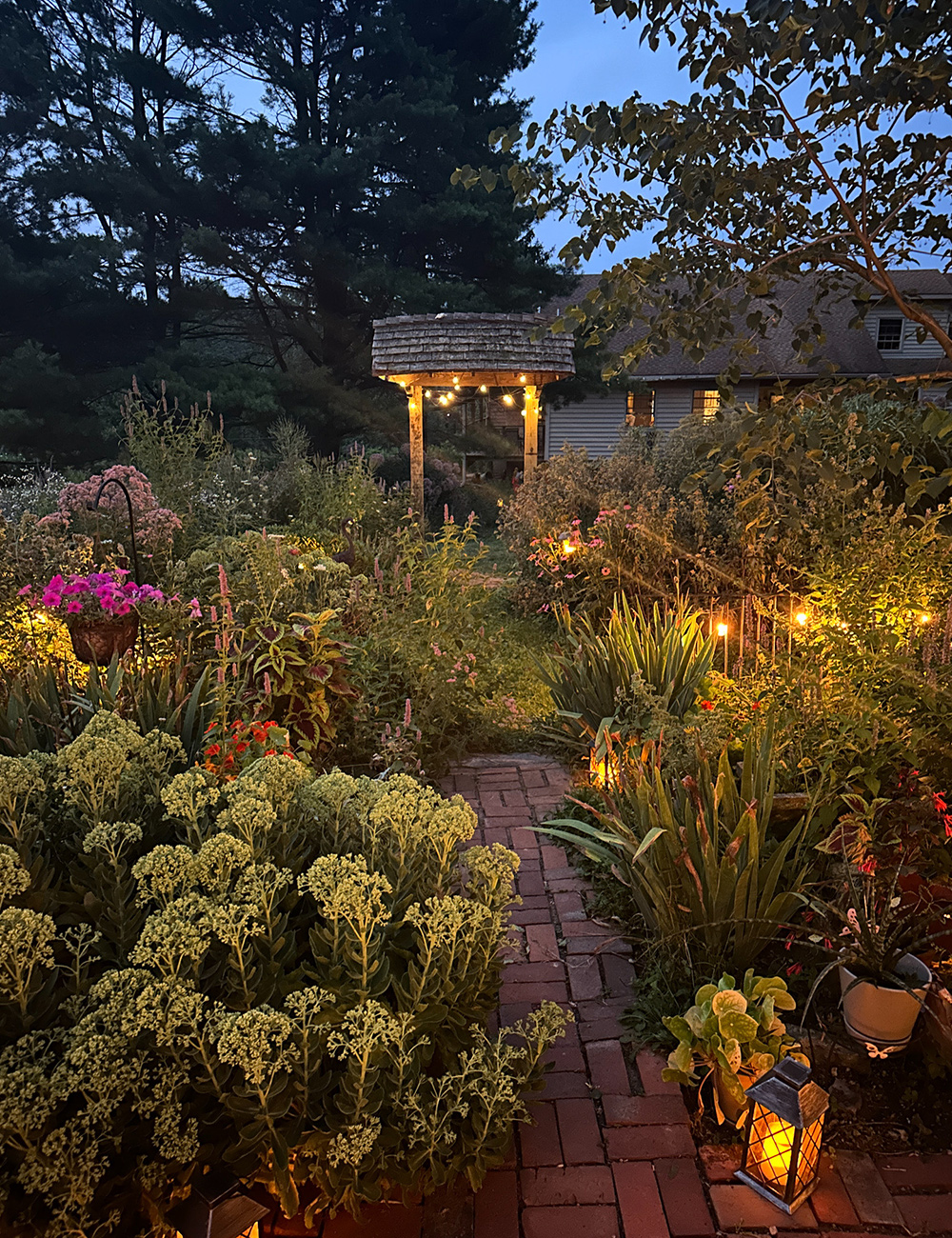 garden illuminated at night