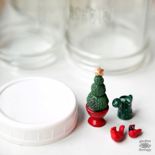 make a mini garden snow globe.