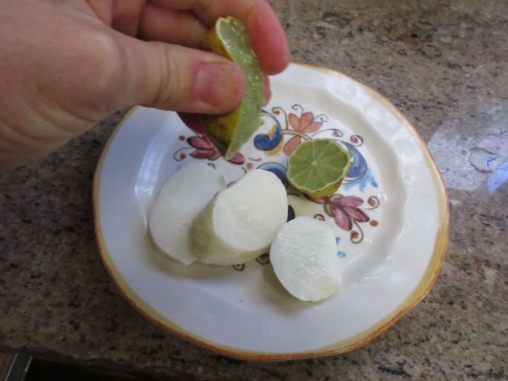 jicama story gardenerd