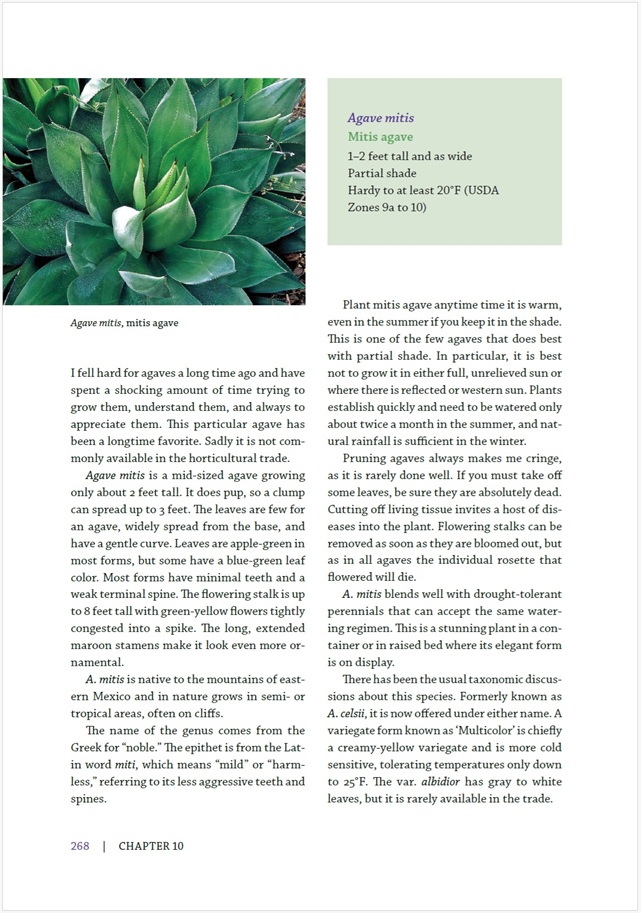 read this: gardening on the dry side of texas