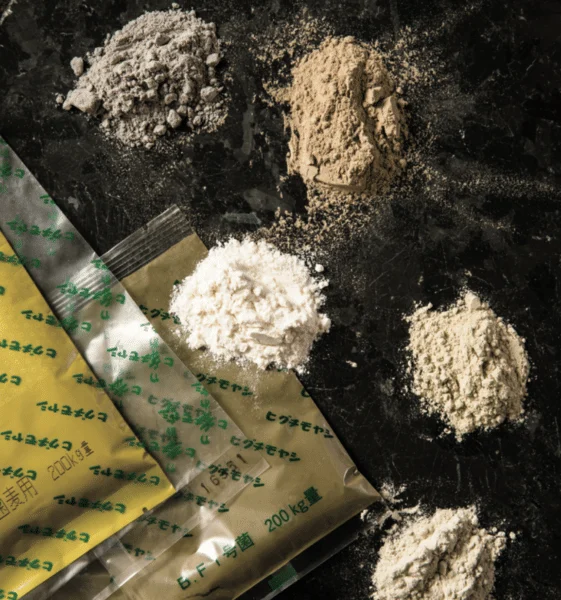 holiday cookies with a koji twist 1 cookies with koji