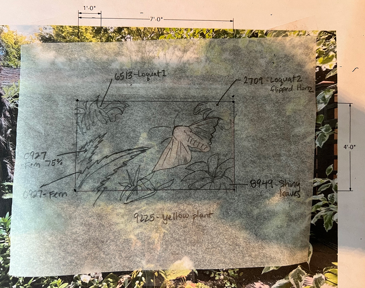 sketch of garden mural layout on transparent paper