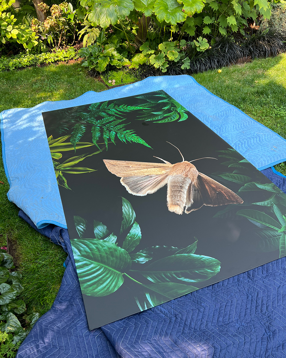 printed photorealistic garden mural ready for install
