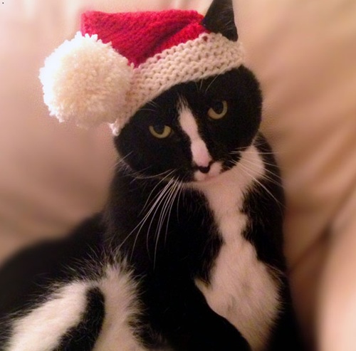 13 unique santa free knitting patterns ⋆ bright stuffs