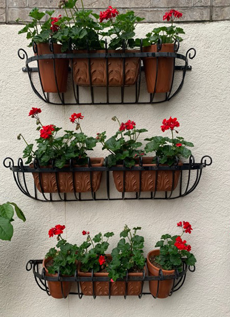 three planters on garden wall