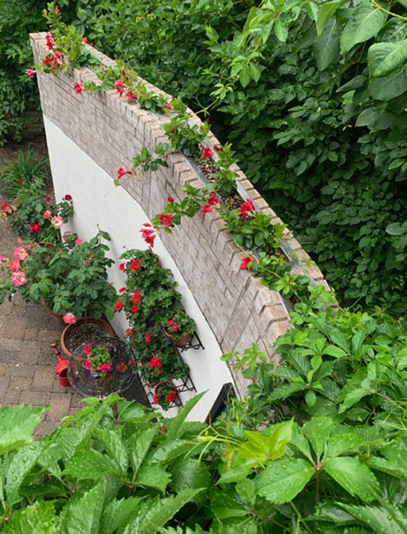 built in planter on top of garden wall