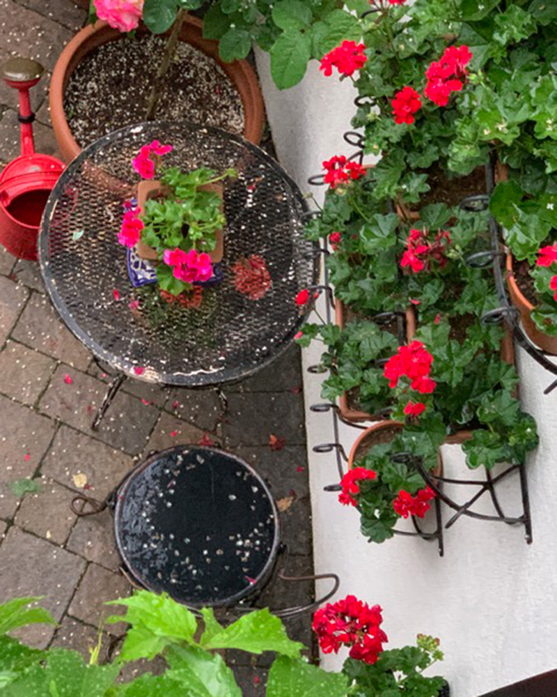 container garden from above