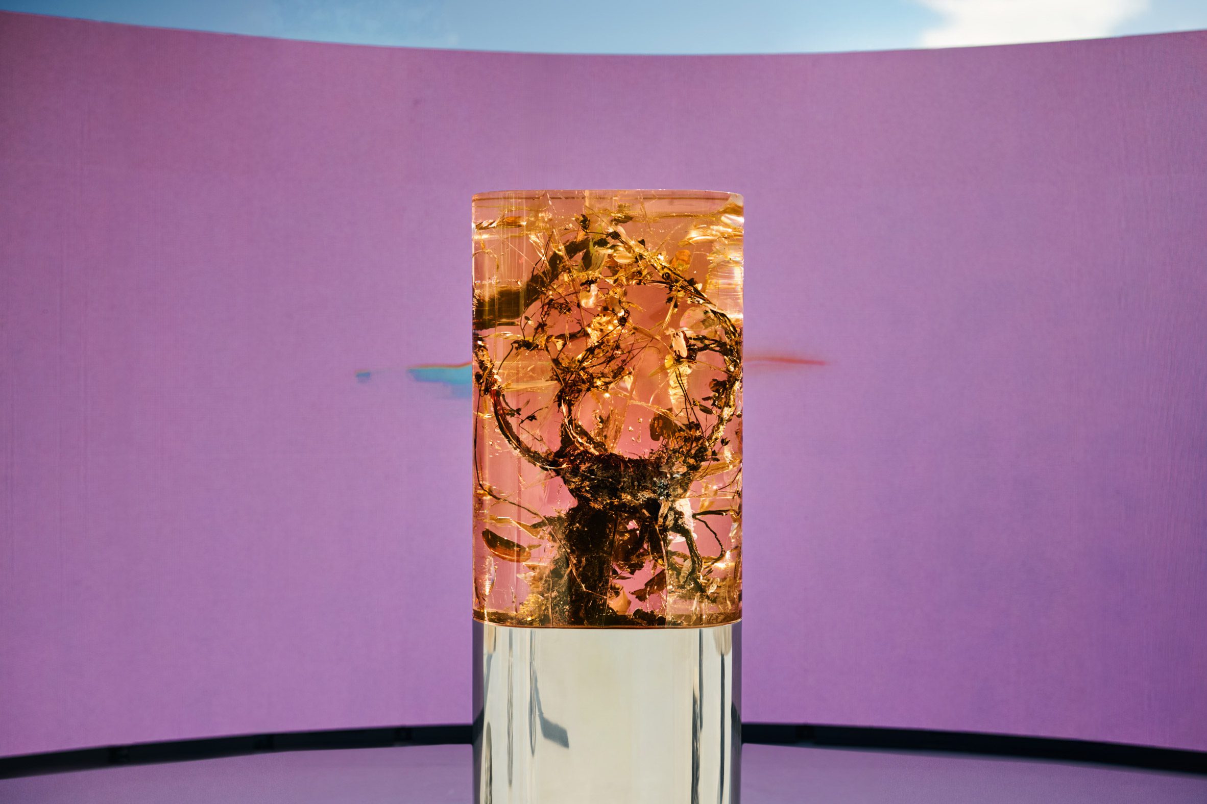 detailed shot of the amber-coloured resin sculpture with embedded botanicals, displayed in front of a pink digital screen