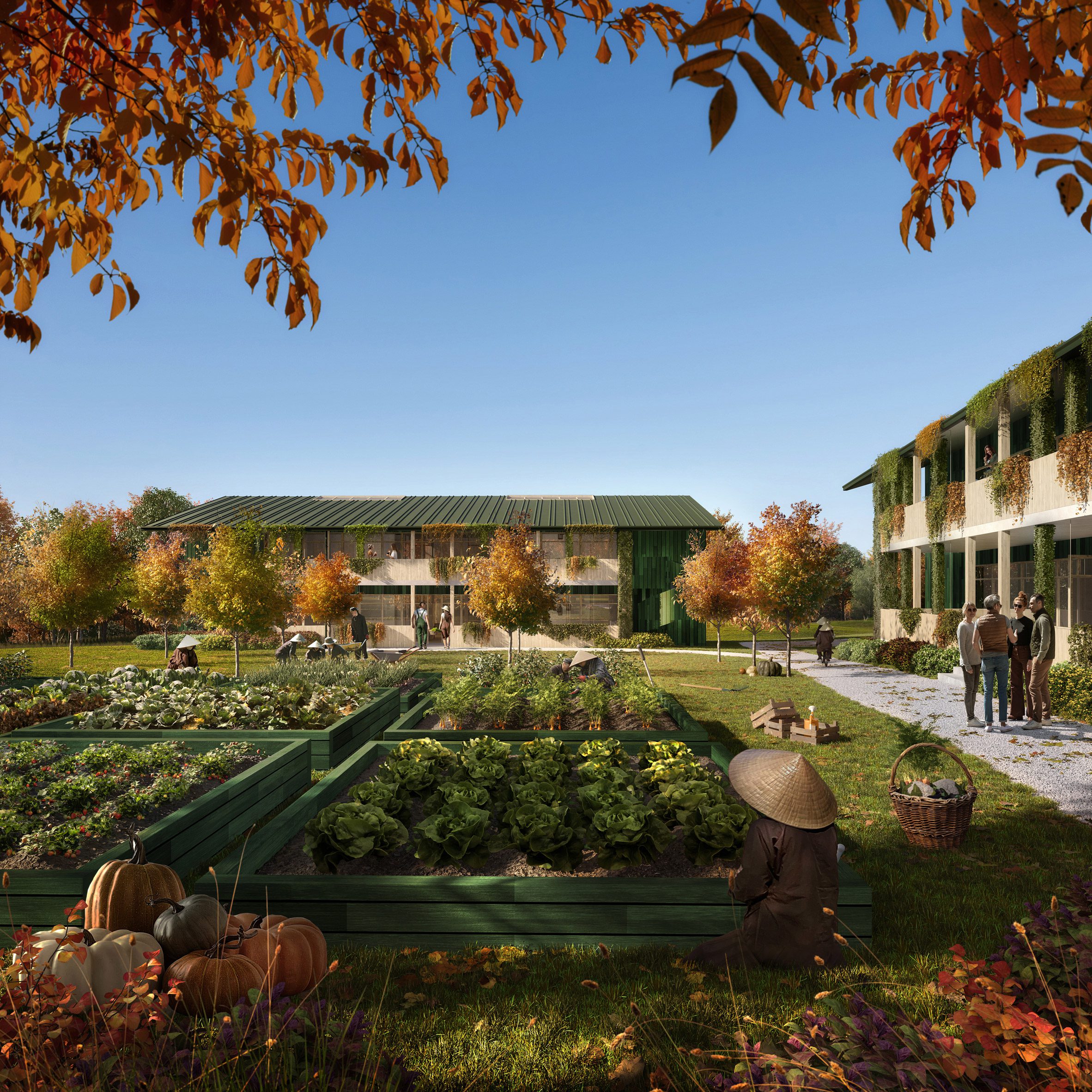 plum village buddhist monastery by mvrdv