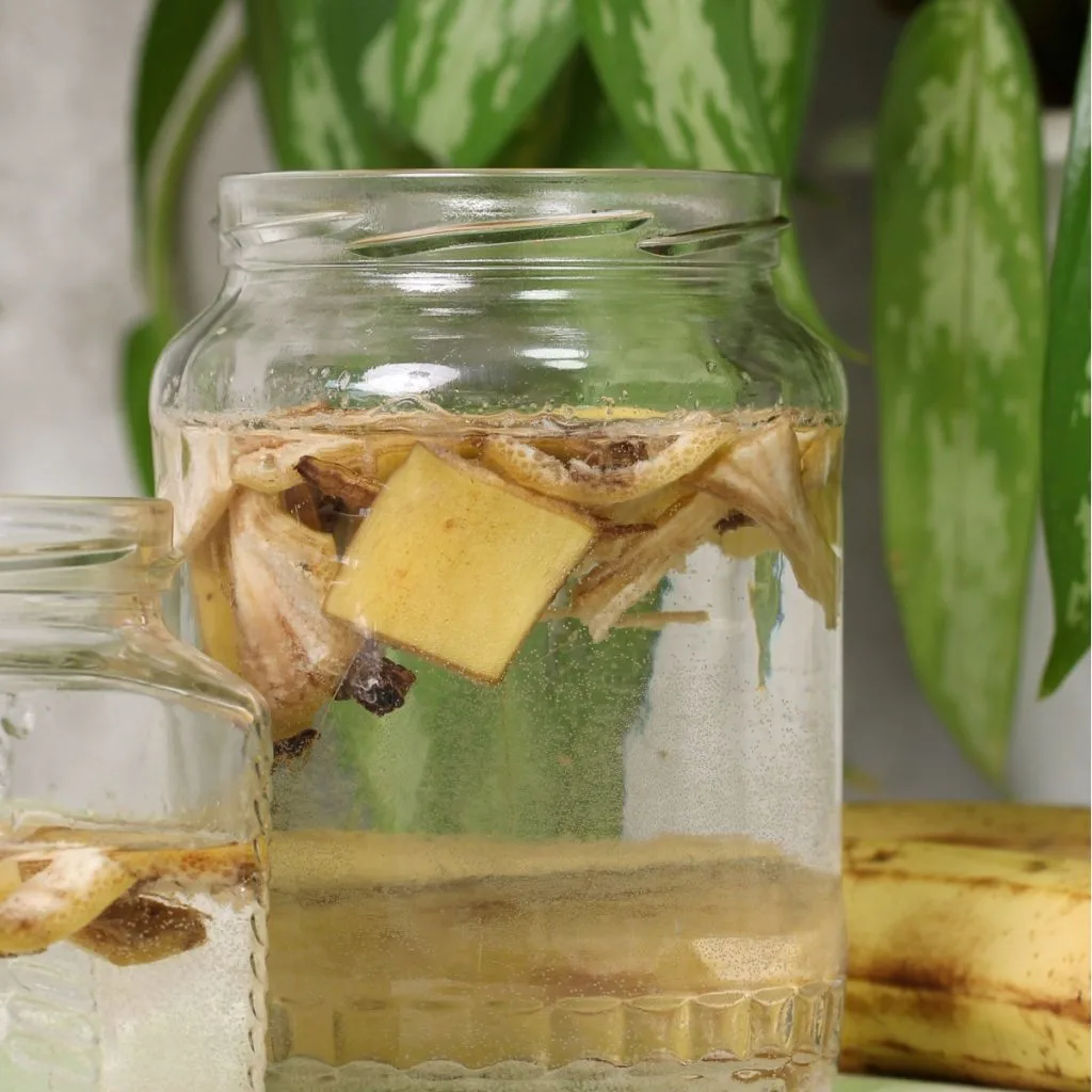 power houseplants with banana peels