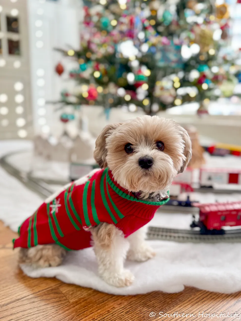 shiny brite tree & dining room cheer 33 shiny brite tree & dining room cheer