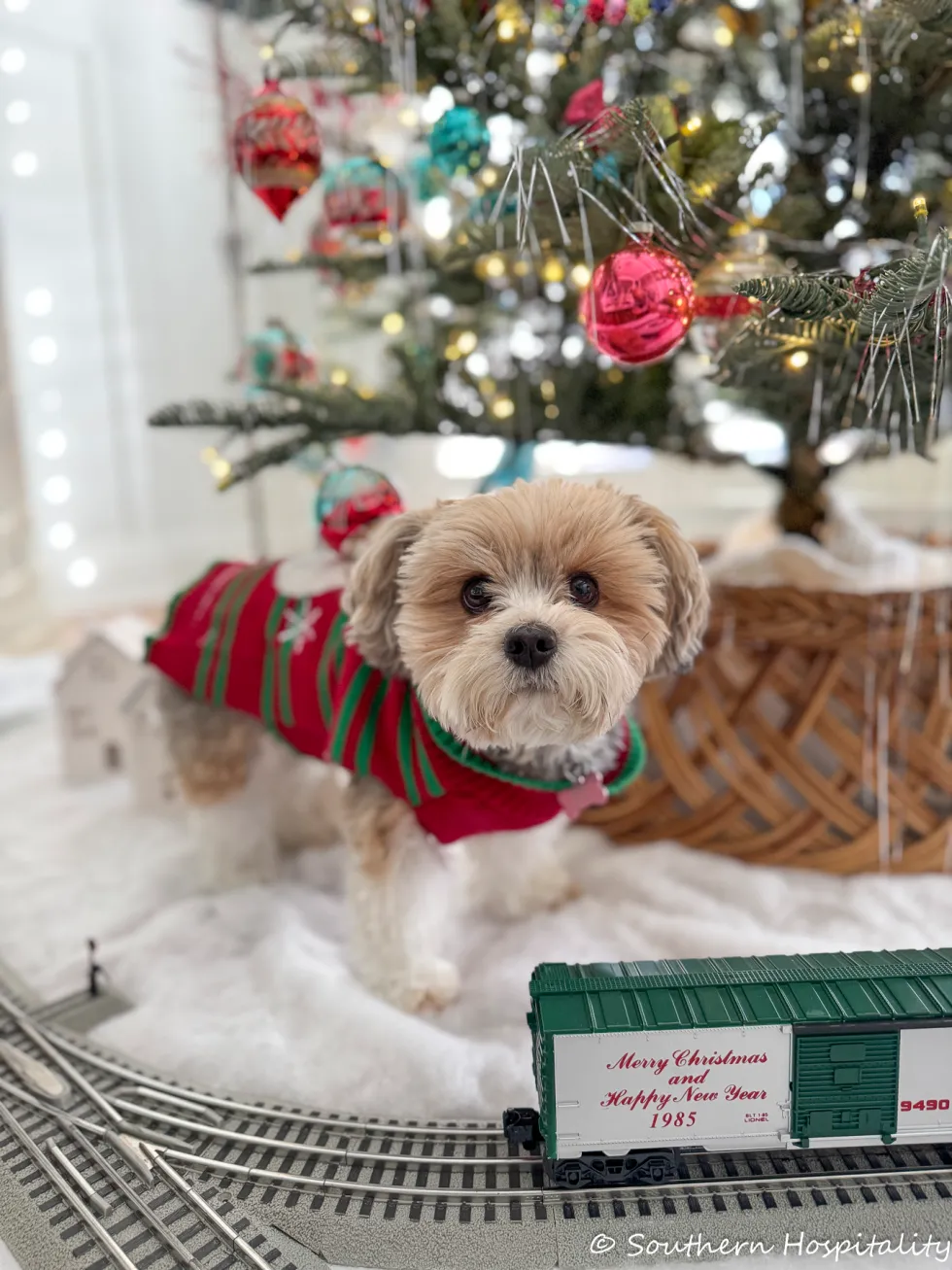 shiny brite tree & dining room cheer 41 shiny brite tree & dining room cheer