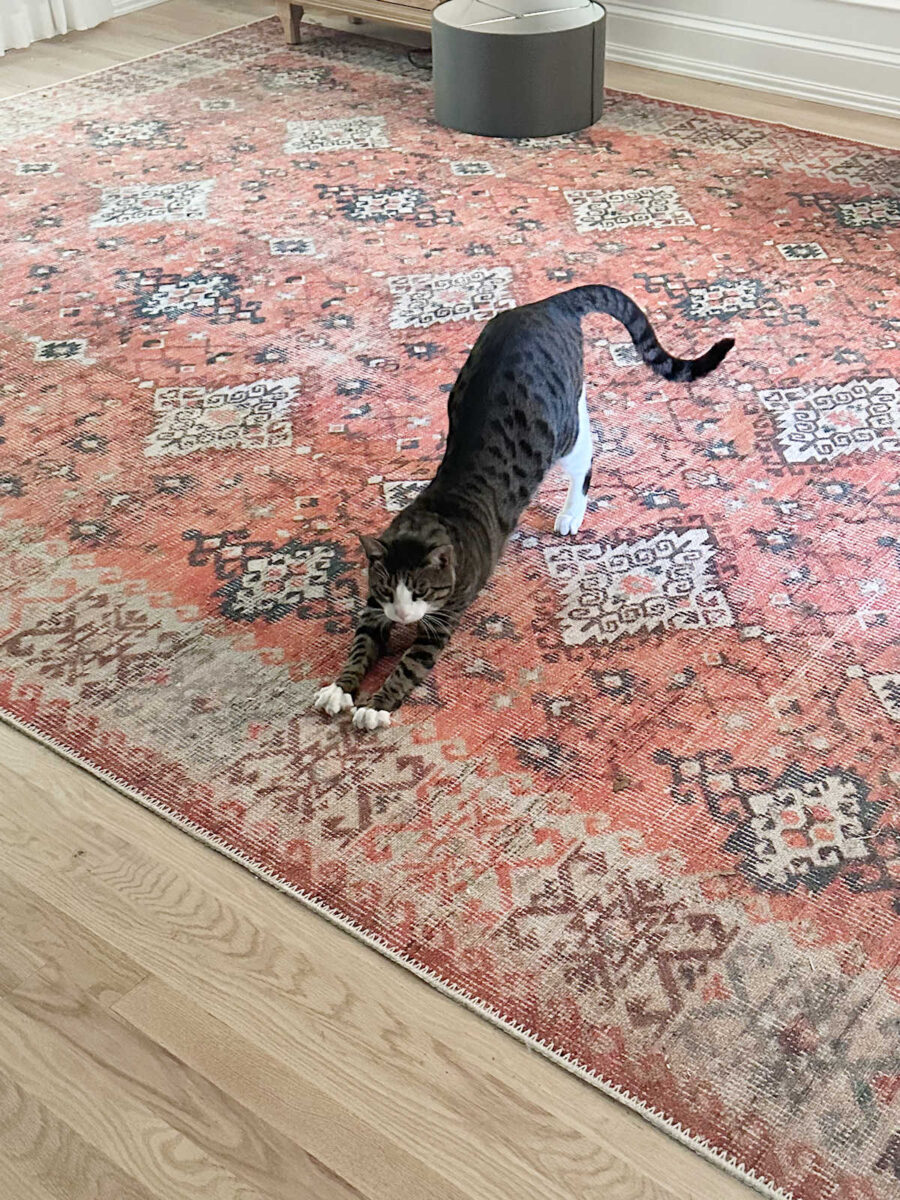 how i created and printed a custom fabric for the bedroom (plus, an update on tiger) 8 printed custom fabric