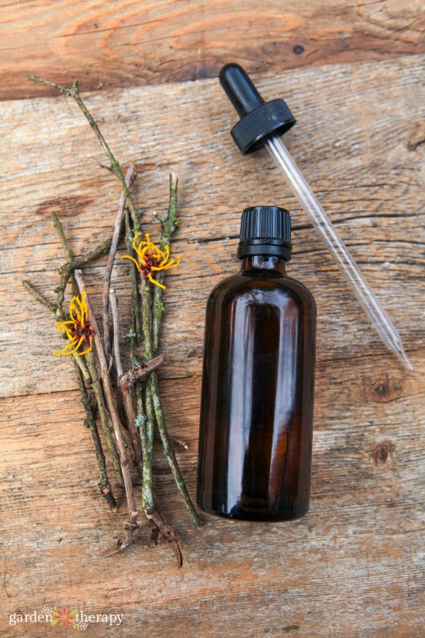witch hazel tincture