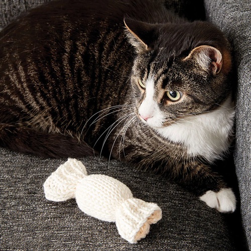 15 toys free knitting patterns for beginners ⋆ bright stuffs